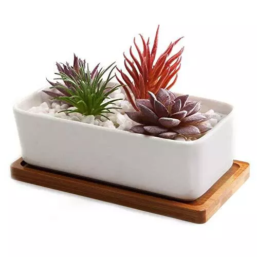 T4U 16.5CM Ceramic White Rectangle Succulent Plant Pot/Cactus Plant Pot With