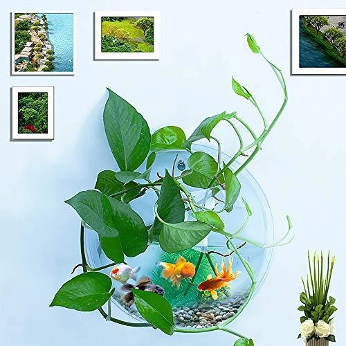 kathson Wall Fish Bowl Acrylic Hanging Aquarium Wall Mounted Bubble Betta... 4