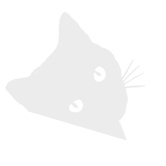 Occhiali da sole occhi di gatto neri fotocamere gufo notturno auto decalcomanie riflettenti