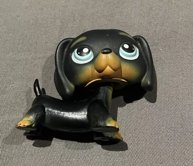 LITTLEST PET SHOP Black Daschund Dog 325 31.00 PicClick AU
