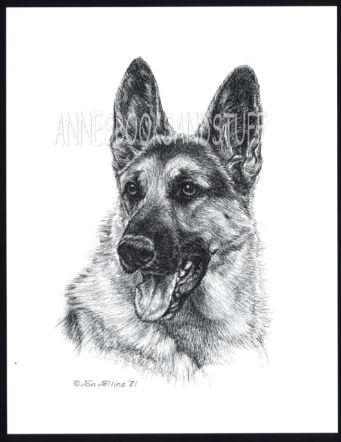 #290 GERMAN SHEPHERD portrait dog art print * Pen and ink drawing by Jan Jellins