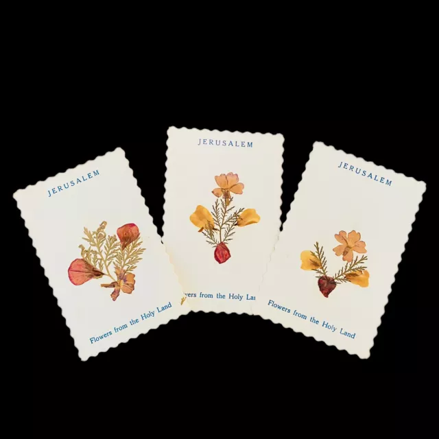 Vtg Devotional Card Bookmark Pressed Flowers From The Holy Land Jerusalem SET 3