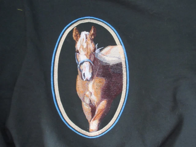 Embroidered Sweatshirt - Palomino Horse BT4457 Sizes S - XXL