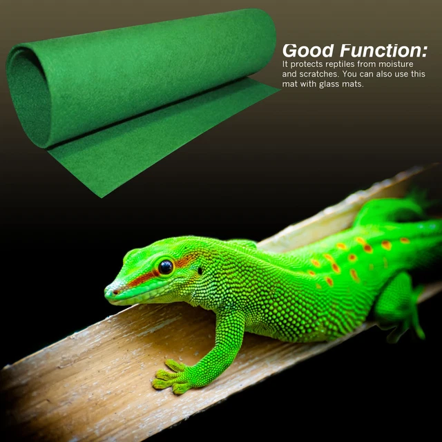 2Pcs Lizards Substrate Mat Turtle Terrarium Bedding Reptile Carpet Rug Carpet