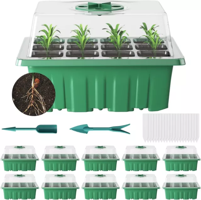 Seed Trays, 10 Pack Seedling Starter Kit, Plant Propagator with Heightened Lids