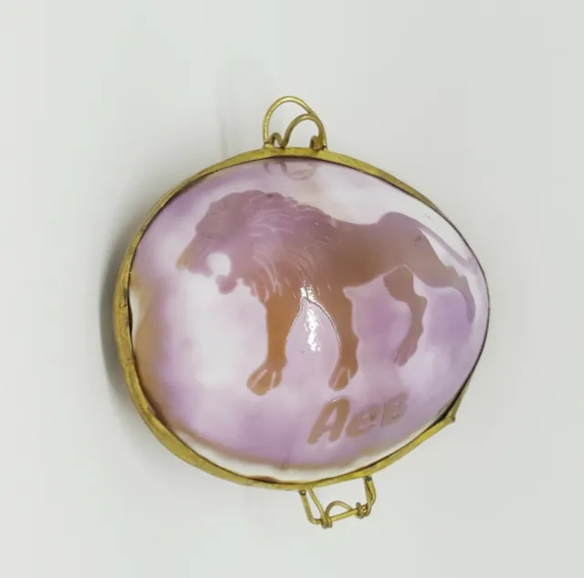 Small Shell Jewelry Box Tiger Cowry Clasp Hasp Horoscope Sign Leo Lion Purple 2"