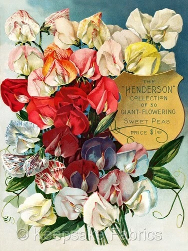 Flowering Sweet Peas Crazy Quilt Fabric Block Multi Szs FrEE ShiPPinG WoRld WiDE