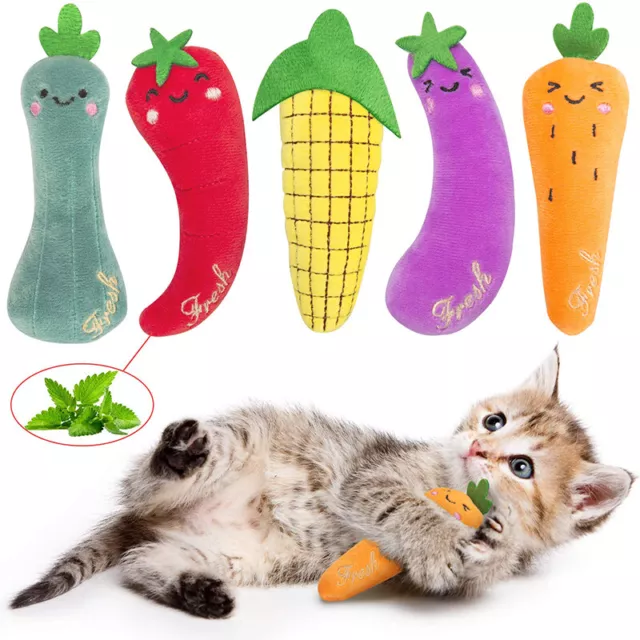 Catnip Pet Cat kitten Toy Gift Chew Crazy Grinding Play Toys Teeth Cat Toys CO