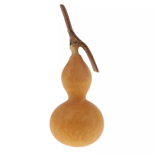 Petit Ornement De Table De Gourdes Séchées Naturelles Décoration De La Maison