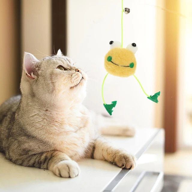 Cuerda Elástica Divertido Gato Juguete Mascota El Gato