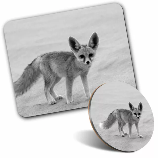 Mouse Mat & Coaster Set - BW - Desert Fox Egyptian Sahara  #39037