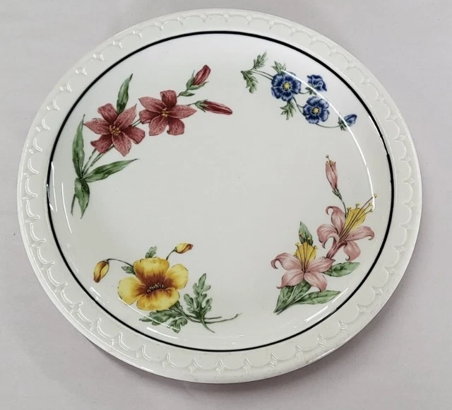 Vintage Southern Pacific Railroad Prairie Mountain Wildflowers Syracuse 9" Plate