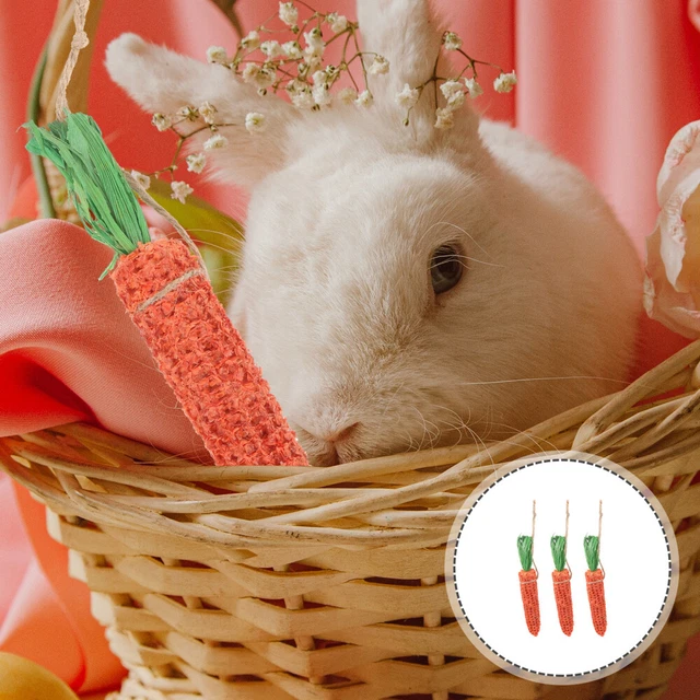 3 Pz Giocattoli da Masticare Coniglio Da Masticare Conigli Guinea Maiale Pannocchia Mais