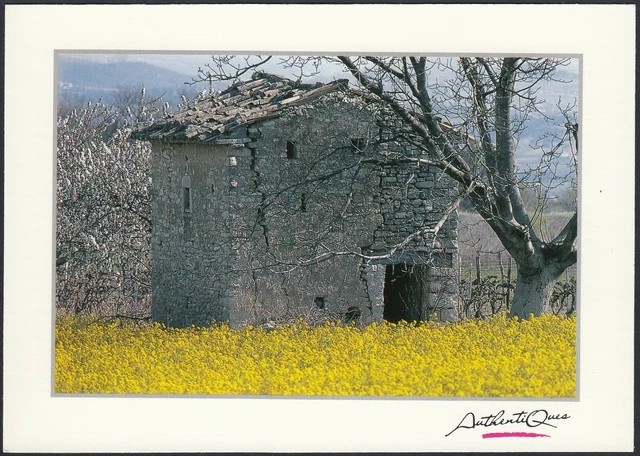 AB2846 Aperçu Pittoresque De Un Lieu De Identifier - Carte Postale - Postcard