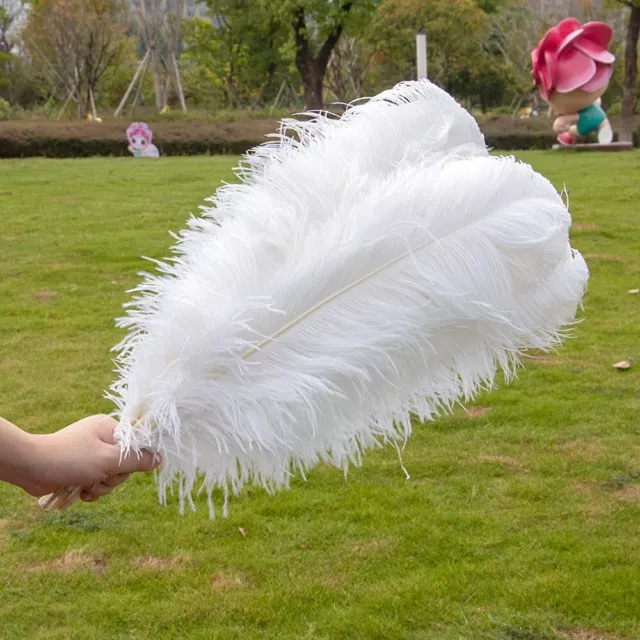 10 Pcs/Lot White Ostrich Feathers for Wedding Party Decoration Craft Plumes