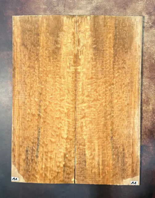 Muschelahorn Droptop 4A |  Quilted Maple Droptop 4A | Tonholz | Tonewood | #11