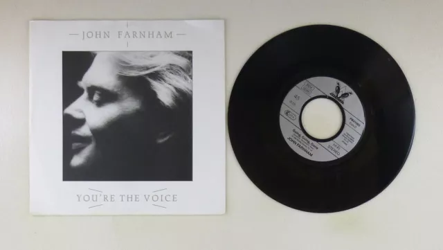 7" Single Vinyl -   John Farnham – You're The Voice -  S13318 Z16