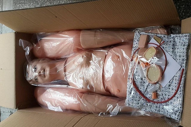 AjantaExports Nursing Manikin Multi Functional Model Female AjantaExports Nursing Manikin Multi Functional Model Female