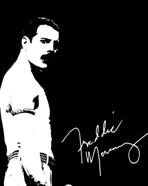 REPRINT - FREDDIE MERCURY Queen Autographed Signed 8 x 10 Photo Poster