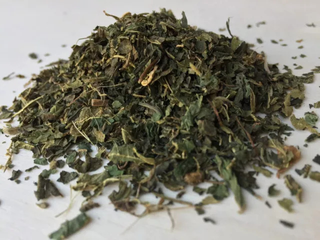 Nettle, Urtica dioica, All Natural Leaf ~ Schmerbals Herbals