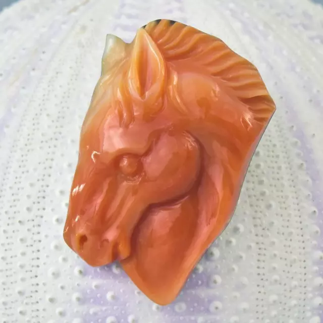 Horse Design Carving Apricot Syrinx Trumpet Shell & Paua Abalone Cabochon 7.27 g