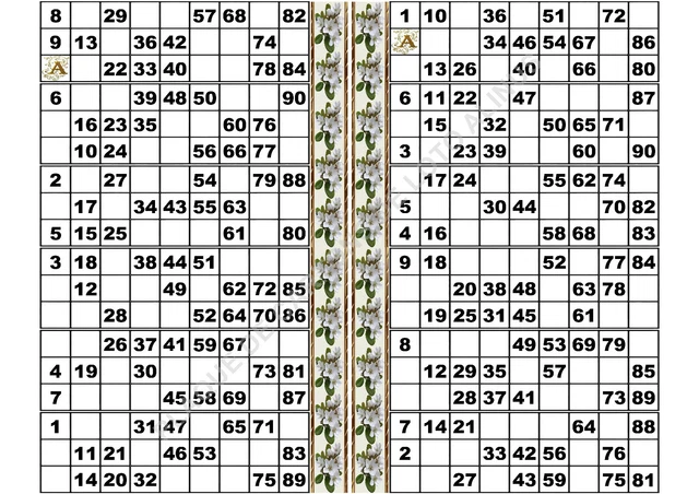 PLAQUE DE 12 cartons de loto plastifier 100 microns pliable neuf (A3