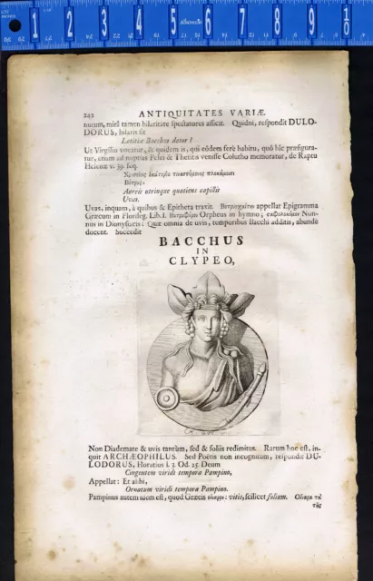 Shield of Bacchus, God of Wine, Lorenz Beger, 1696 Engraving
