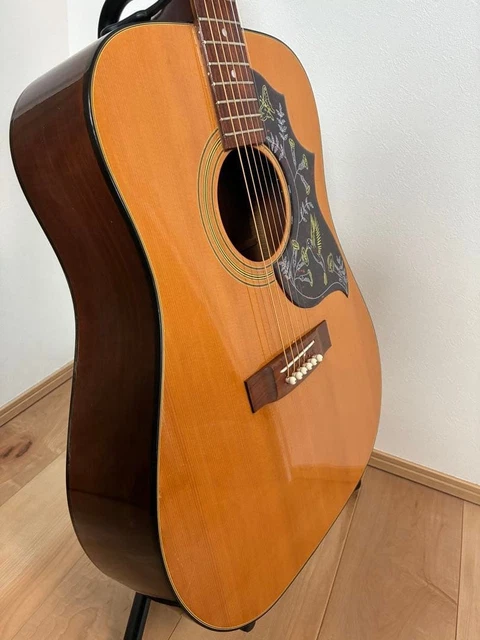 KISO SUZUKI HOLLY W-25 Acoustic Guitar Hummingbird Pickguard 1970s