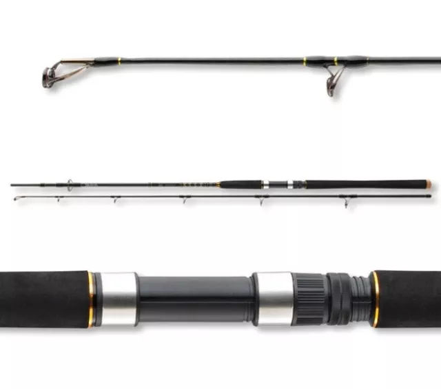 Daiwa BG Offshore 3,00m 50-165g Pilkrute Sea Rod 2 piezas Norway Pilk Rod