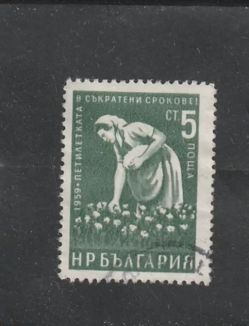 L5622 BULGARIE TIMBRE N° Y & T 996 de 1960-61 " Cueillette du Coton " Oblitéré