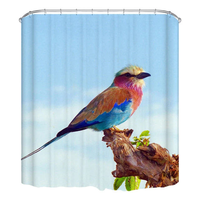 1 pz tenda colore creativo motivo uccellino semplice bagno moda tenda doccia per H