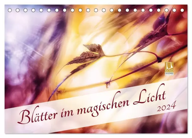 Blätter im magischen Licht (Tischkalender 2024 DIN A5 quer), CALVENDO...