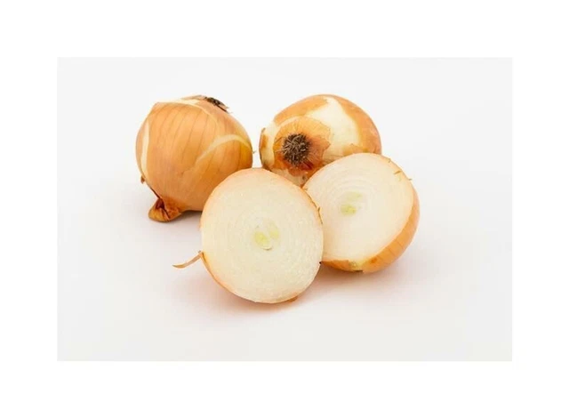 20X ALLIUM CEPA Giant Géant Oignon Jardin Plantes - Graines B621 EUR 3,88 - FR