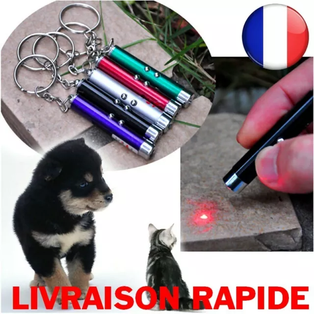 Laser Drôle Chat Chien Bâton 2en1 Rouge Pointeur Stylo Lumière LED Blanche Jouet