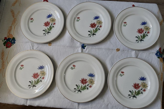 Assiettes Plates Céranord Saint Amand A Décor De Fleurs - Dalhias ? Lot De 6