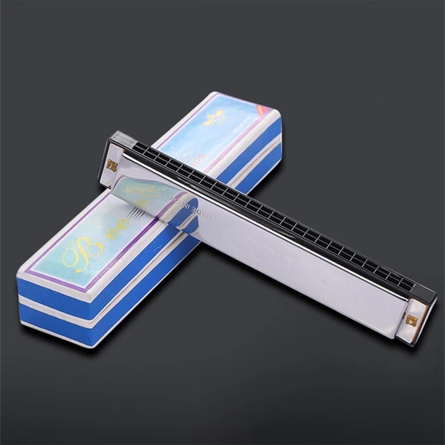 Harmonica C-Dur 24 Trous pour les Débutants Pour Enfants Cadeaux Performance