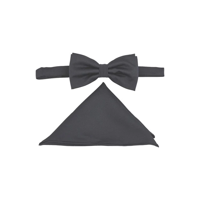 WILVORST Classiche Classica Fiocco Papillon Con Fazzoletto da Taschino Blu