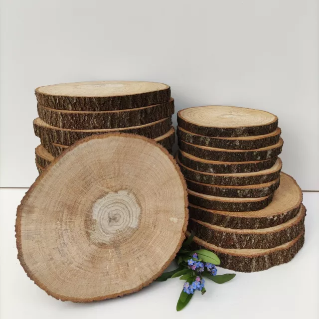 Wooden Slices OAK Wood Round Discs Wedding Crafts Pyrography art 10-25CM (4-10") 2