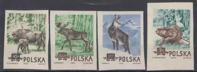 x) Polen Jahr 1954 " Geschüzte Tiere " Satz Mi.Nr: 885B - 888B ** .(4621)