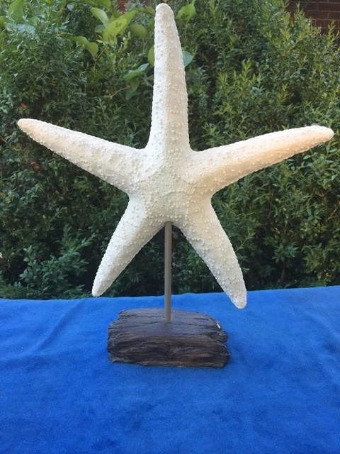 Vintage Mar Sparkle Blanco Arena Encendido Driftwood Escultura Náutico Mar Decor 2