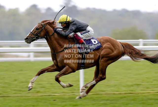 2021 Stradivarius Frankie Dettori Photo Horse Racing Royal Ascot