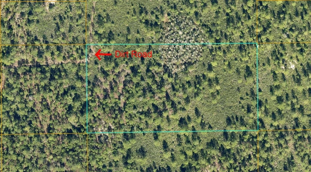 Ormond Beach, Volusia Co, Florida - 5 Acre Parcel!!!