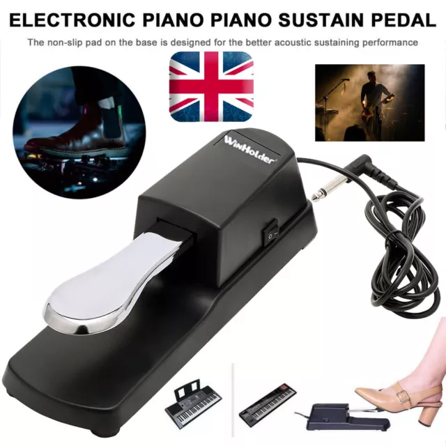 Universal Piano Damper Sustain Pedal Foot Switch For Piano Yamaha Casio Keyboard