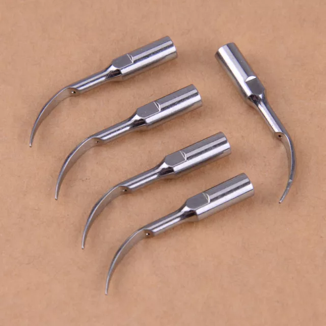 5Pcs Dental Scaling Tips GD1 pour SATELEC & DTE Ultrasonic Scaler Handpiece SALE