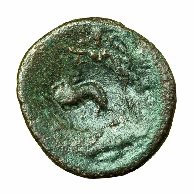 Ancient Greek Coin Lysimacheia AE17mm Countermark Dolphin Herakles / Nike 02199