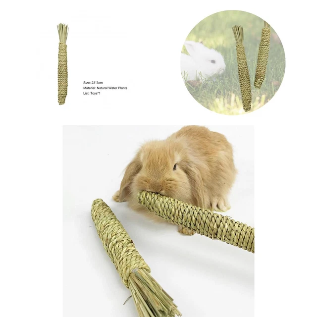 Kaninchenspielzeug keine Additive Natural Grass Hamster Kaninchen Karotte Kauen