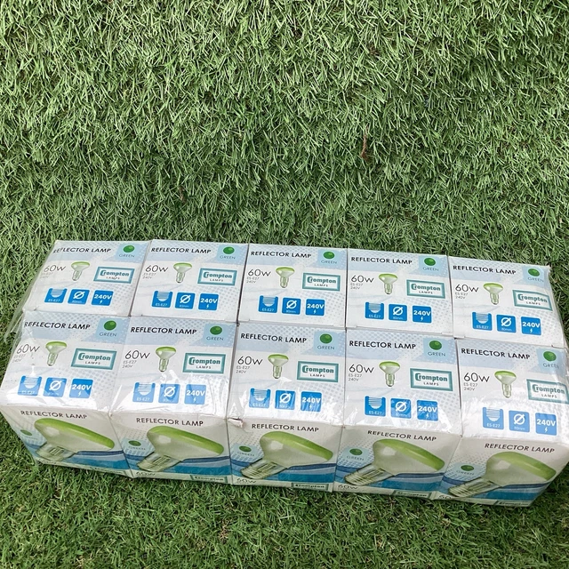 R80 Halogen Reflector Diffused Globe 100W ES - R80100WES - 30712