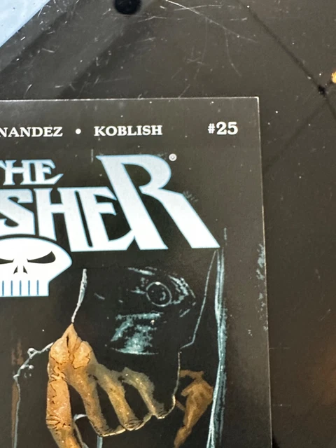 The Punisher #25 Vol. 7 Marvel MAX Comics 2005 3