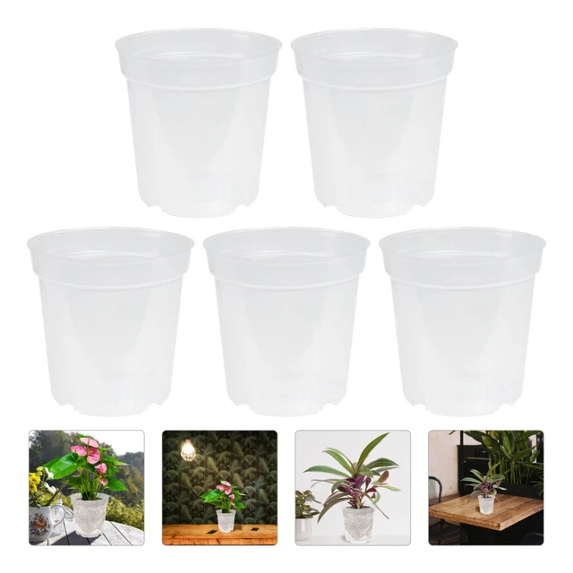 Support pour fraises, lot de 10, protection contre pourriture, limaces