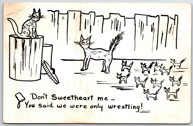 COMIC POSTCARD CAT WITH KITTENS  "YOU SAID WE WERE ONLY WRESTLING" unp